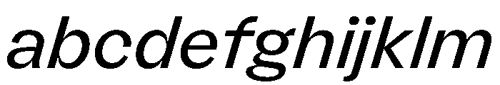 FLRare RegularItalic Instance FONT