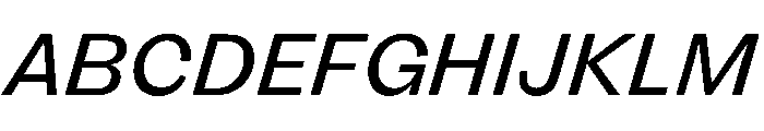 FLRare RegularItalic Font UPPERCASE