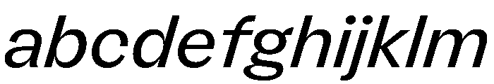 FLRare RegularItalic FONT
