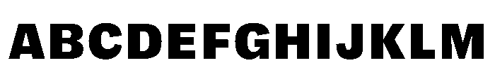 FLRare TextBlack Instance Font UPPERCASE