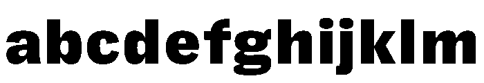 FLRare TextBlack Instance FONT