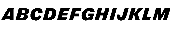 FLRare TextBlackItalic Instance Font UPPERCASE