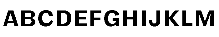 FLRare TextBold Instance Font UPPERCASE