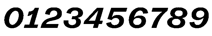 FLRare TextBoldItalic Instance Font OTHER CHARS