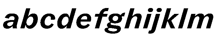 FLRare TextBoldItalic Instance FONT