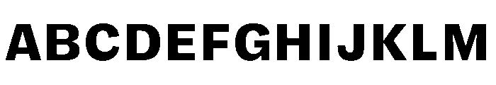 FLRare TextHeavy Instance Font UPPERCASE