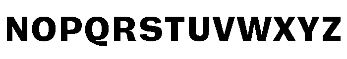 FLRare TextHeavy Instance Font UPPERCASE