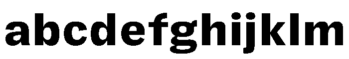 FLRare TextHeavy Instance FONT