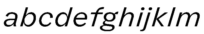 FLRare TextLightItalic Instance FONT