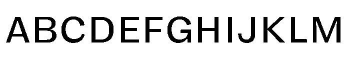 FLRare TextRegular Instance Font UPPERCASE