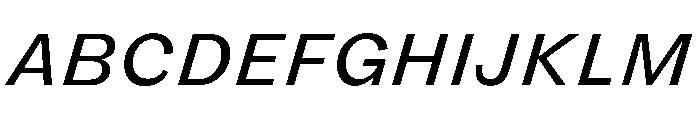FLRare TextRegularItalic Instance Font UPPERCASE