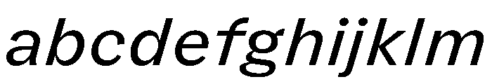 FLRare TextRegularItalic Instance FONT