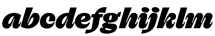 FLRareCursive Black FONT