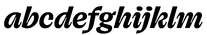 FLRareCursive Bold Instance FONT