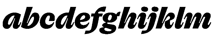 FLRareCursive Heavy Instance FONT