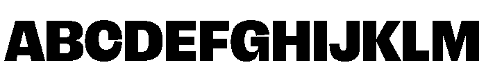 FLRareDisplay Black Font UPPERCASE