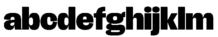 FLRareDisplay Black FONT