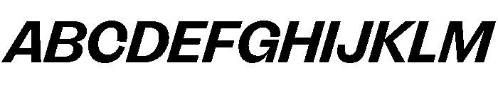 FLRareDisplay BoldItalic Font UPPERCASE