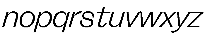 FLRareDisplay FineItalic Font LOWERCASE