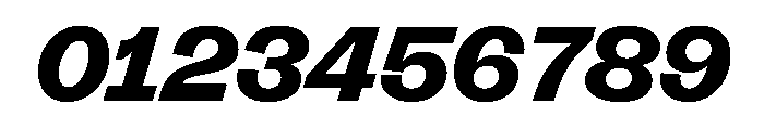 FLRareDisplay HeavyItalic Font OTHER CHARS