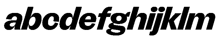 FLRareDisplay HeavyItalic FONT