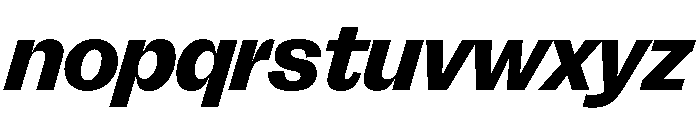 FLRareDisplay HeavyItalic Font LOWERCASE