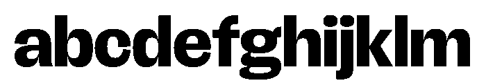 FLRareDisplay Heavy FONT