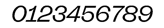 FLRareDisplay LightItalic Font OTHER CHARS