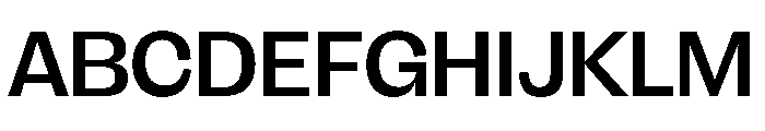 FLRareDisplay Medium Font UPPERCASE