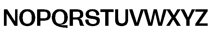 FLRareDisplay Medium Font UPPERCASE