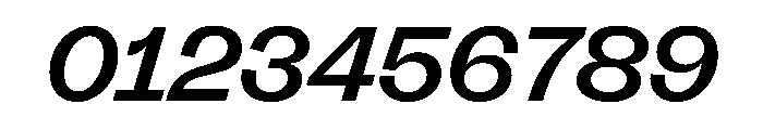 FLRareDisplay MediumItalic Font OTHER CHARS