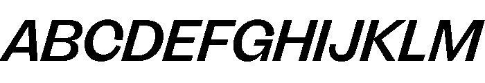 FLRareDisplay MediumItalic Font UPPERCASE