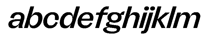 FLRareDisplay MediumItalic FONT