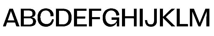 FLRareDisplay Regular Font UPPERCASE