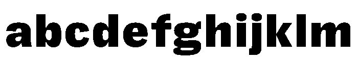 FLRareText Black FONT