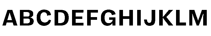 FLRareText Bold Font UPPERCASE