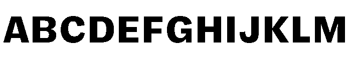 FLRareText Heavy Font UPPERCASE