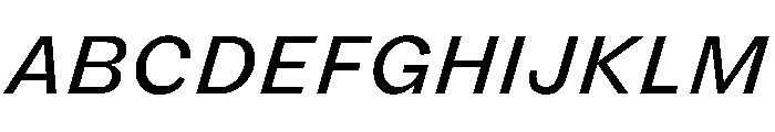 FLRareText RegularItalic Font UPPERCASE