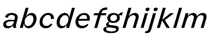 FLRareText RegularItalic FONT