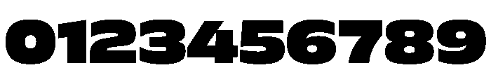FLScienceSans AmpleBlack Font OTHER CHARS