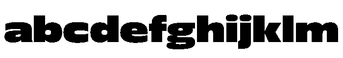 FLScienceSans AmpleBlack FONT