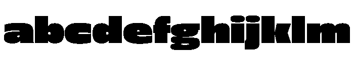 FLScienceSans AmpleDense FONT