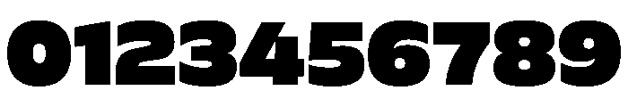 FLScienceSans Black 8acb348b Font OTHER CHARS