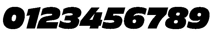 FLScienceSans BlackItalic Cc5461d6 Font OTHER CHARS