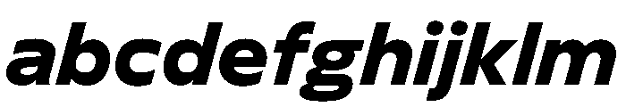 FLScienceSans BoldItalic FONT