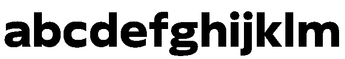 FLScienceSans Bold FONT