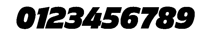 FLScienceSans CompactBlackItalic Font OTHER CHARS