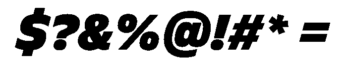 FLScienceSans CompactBlackItalic Font OTHER CHARS
