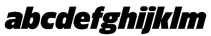 FLScienceSans CompactBlackItalic FONT