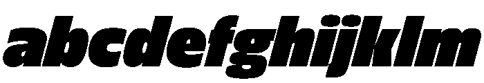FLScienceSans CompactDenseItalic FONT